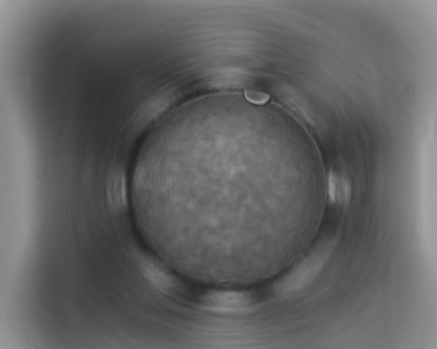 X0000114130205200910081251