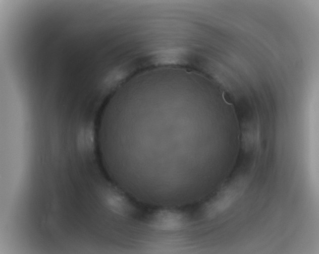 X0000114130207200910081251