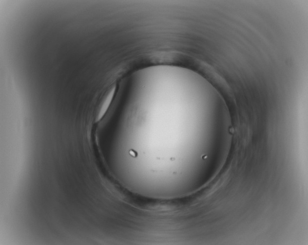 X0000114130209200910081251