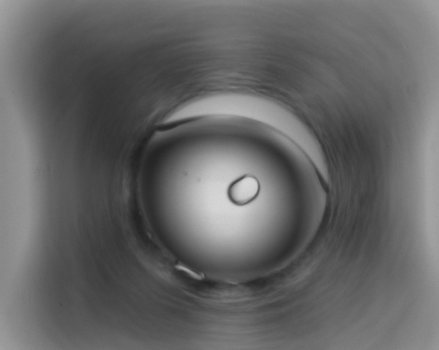 X0000114130215200910081251