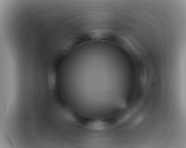 X0000114130219200910081251