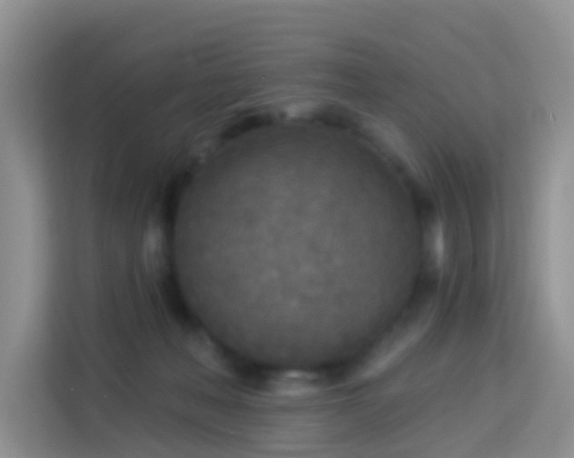 X0000114130222200910081251
