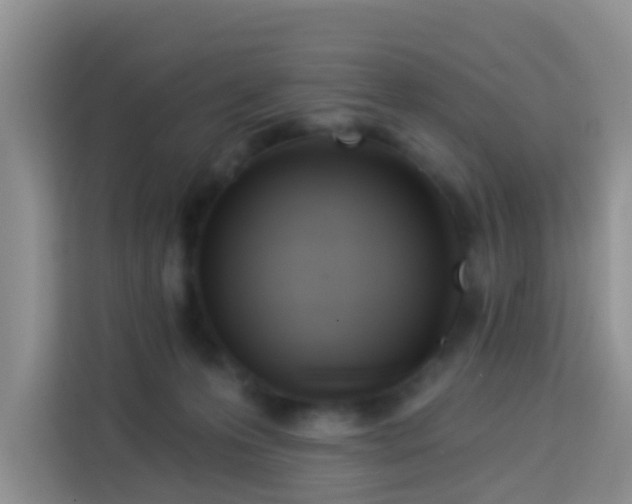 X0000114130223200910081251