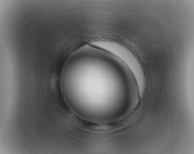X0000114130225200910081251
