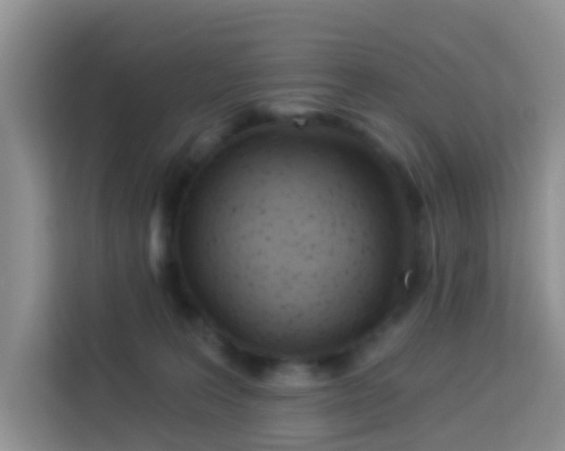X0000114130227200910081251
