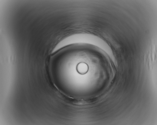X0000114130229200910081251