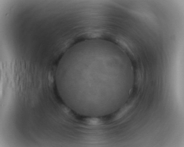 X0000114130230200910081251