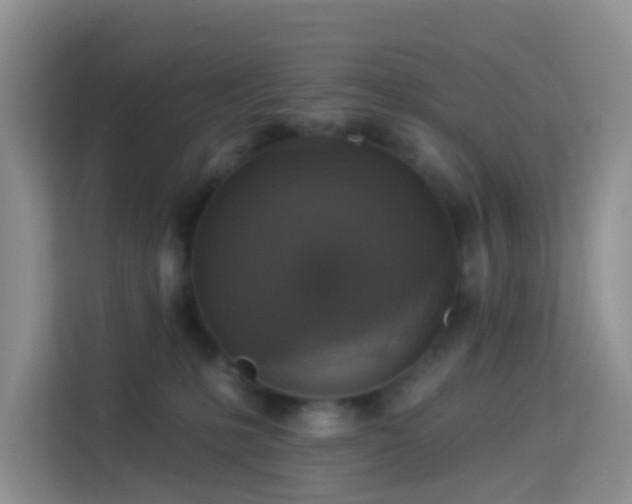 X0000114130231200910081251