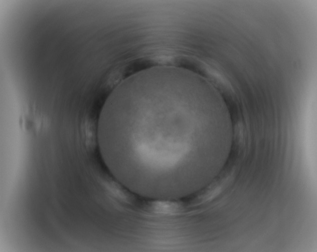 X0000114130234200910081251