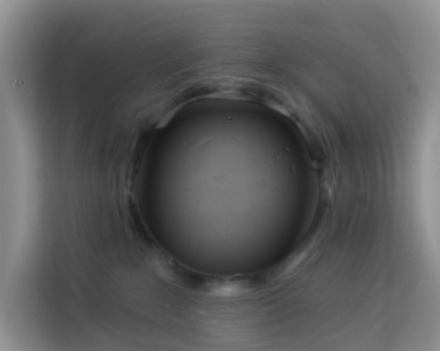 X0000114130235200910081251