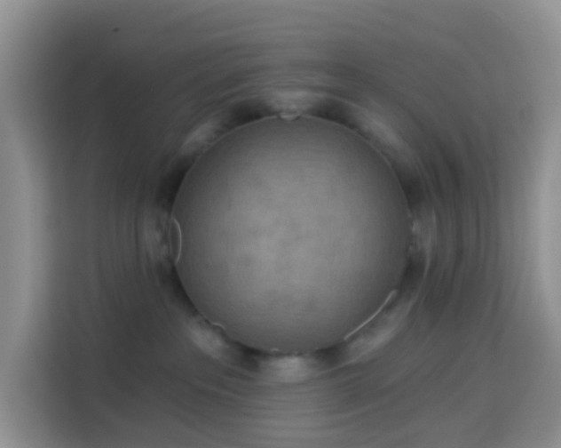 X0000114130237200910081251