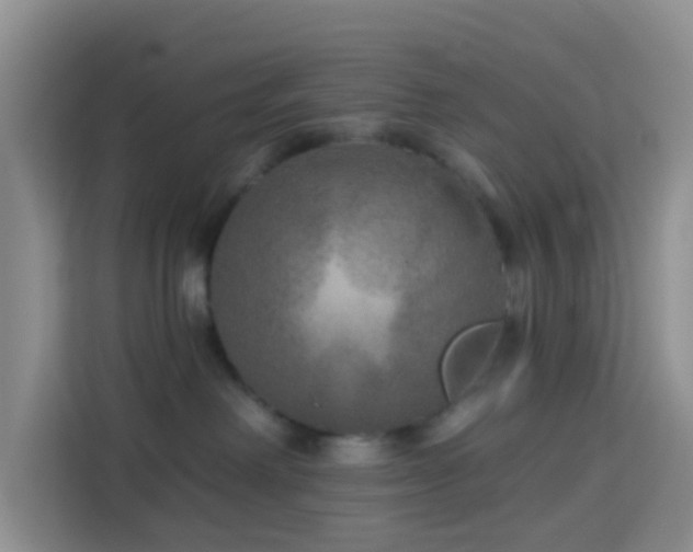 X0000114130238200910081251