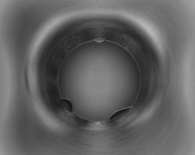 X0000114130239200910081251