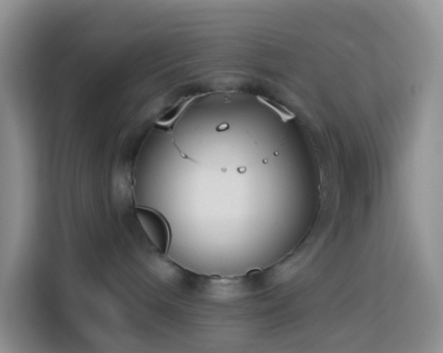 X0000114130240200910081251
