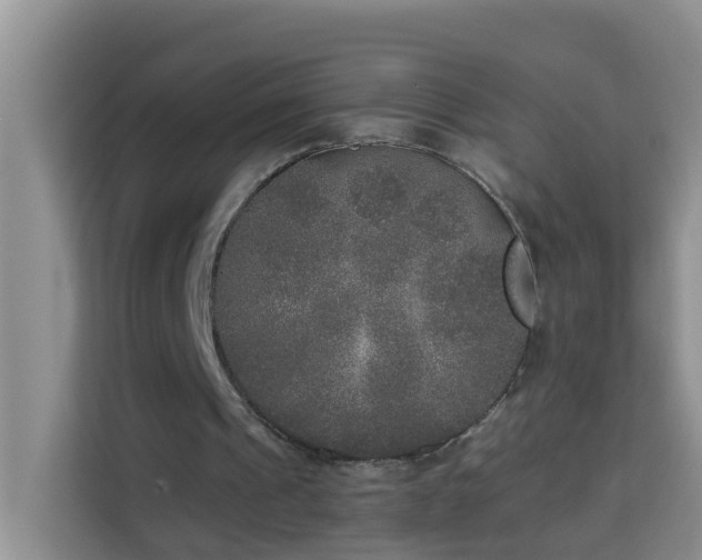 X0000114130241200910081250