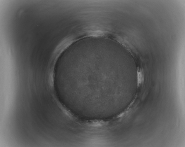 X0000114130243200910081250