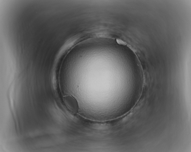 X0000114130245200910081250
