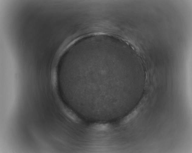 X0000114130247200910081250