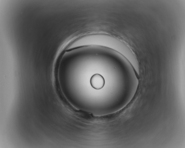 X0000114130248200910081250