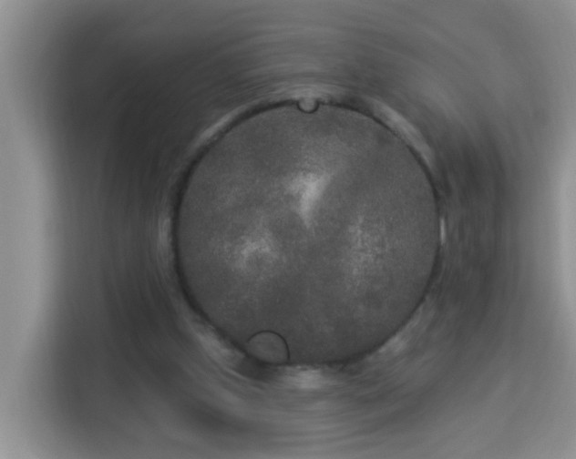 X0000114130249200910081250