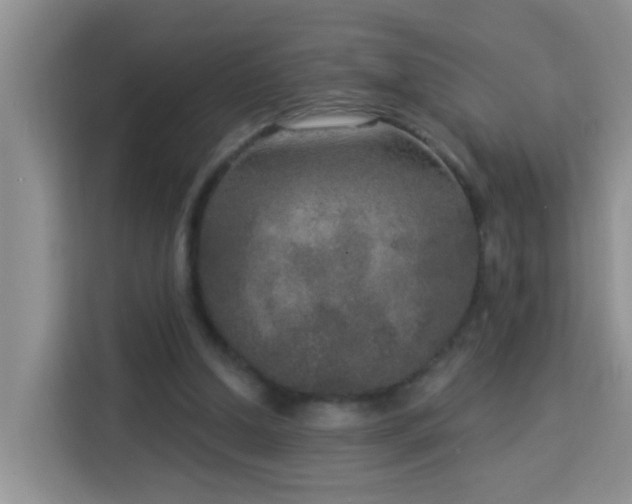 X0000114130250200910081250