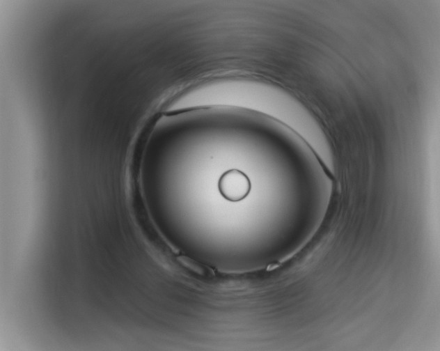 X0000114130252200910081250