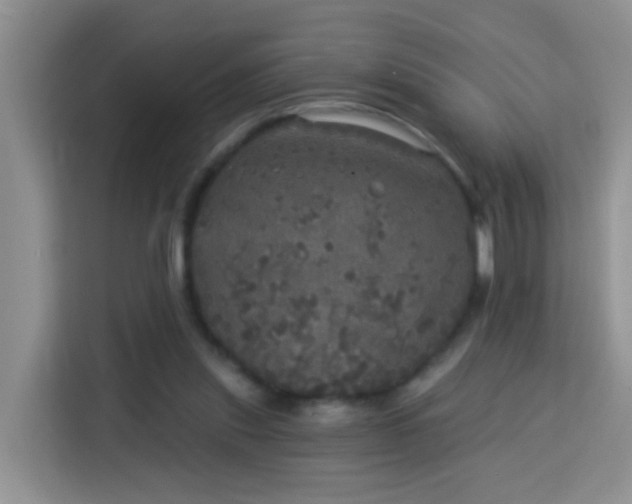X0000114130253200910081250