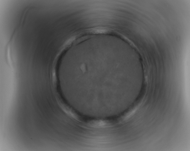 X0000114130254200910081250