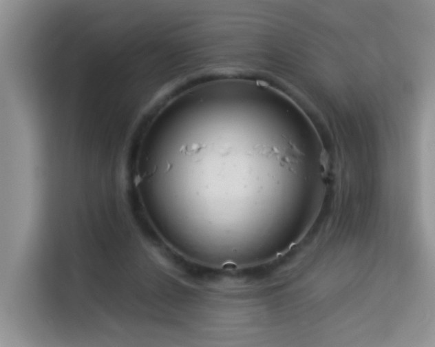 X0000114130256200910081250