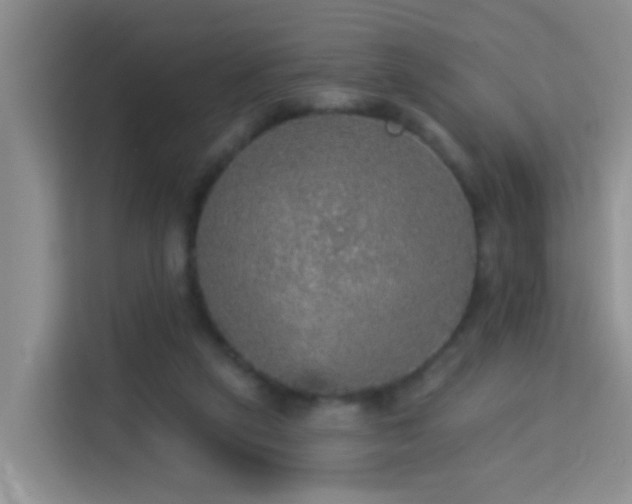 X0000114130257200910081250