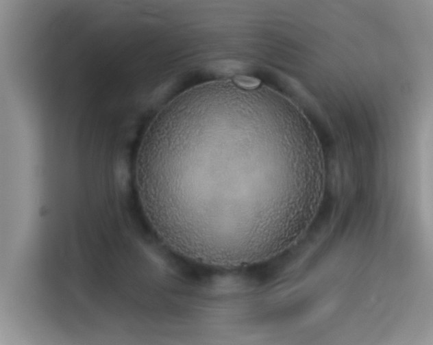 X0000114130259200910081250