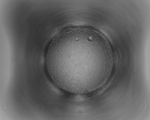 X0000114130261200910081250