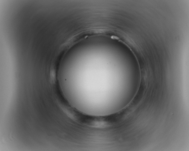 X0000114130262200910081250