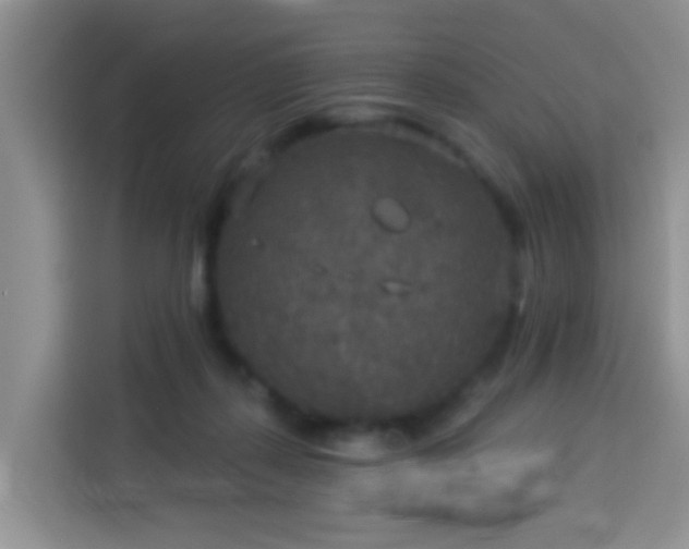X0000114130267200910081250