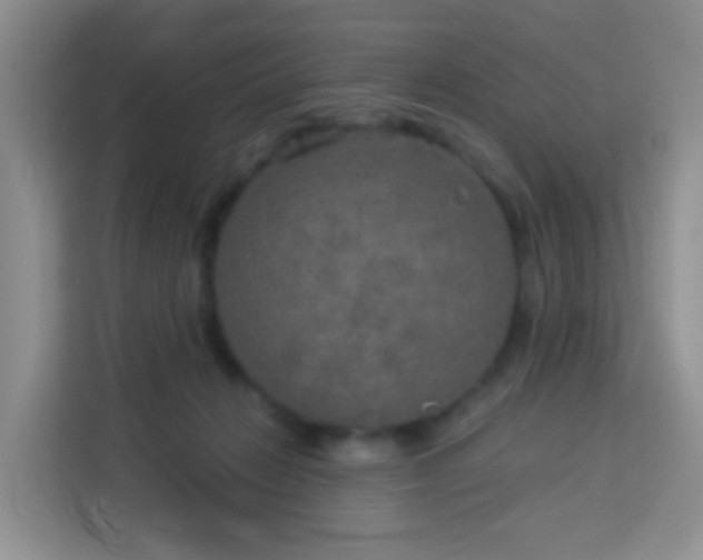 X0000114130270200910081250