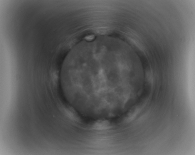 X0000114130271200910081250