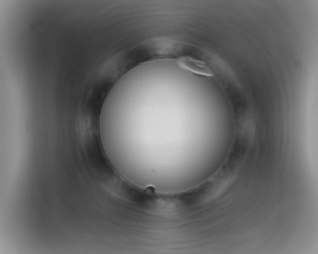 X0000114130272200910081250