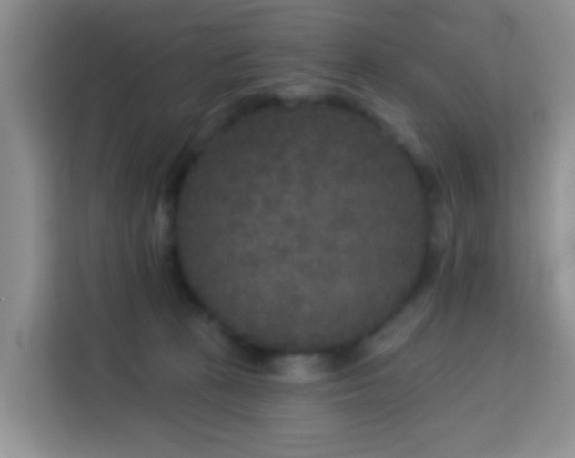 X0000114130273200910081250
