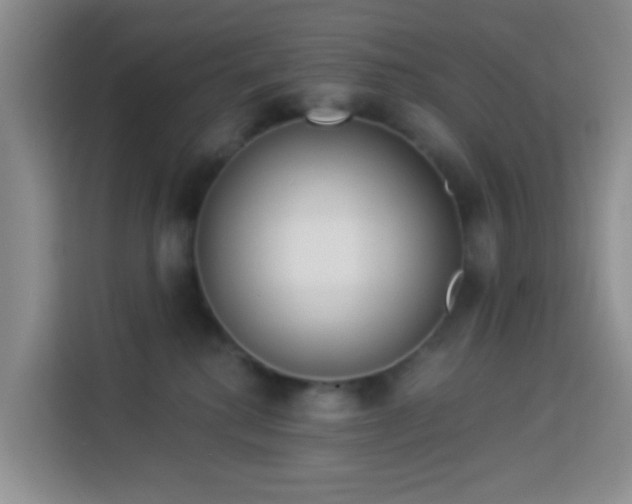X0000114130280200910081250