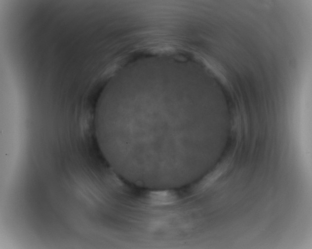 X0000114130281200910081251