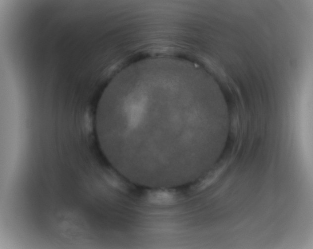 X0000114130282200910081251