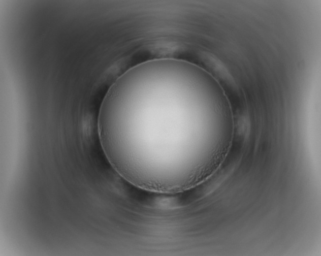 X0000114130283200910081251