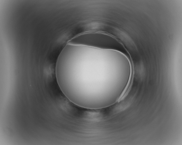 X0000114130284200910081251
