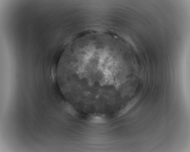 X0000114130285200910081251