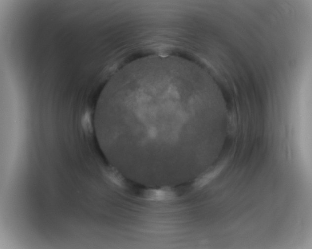 X0000114130286200910081251