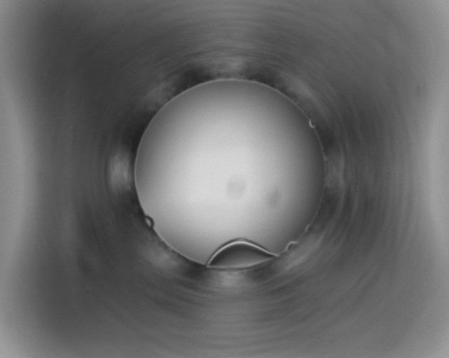 X0000114130287200910081251