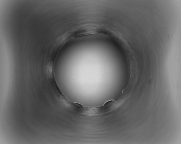 X0000114130288200910081251