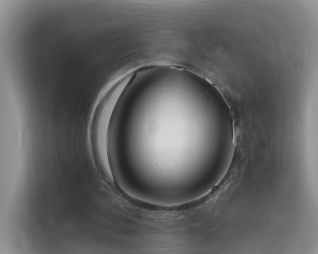 X0000114130292200910081250