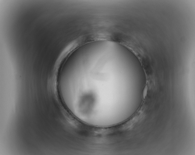 X0000114130293200910081250