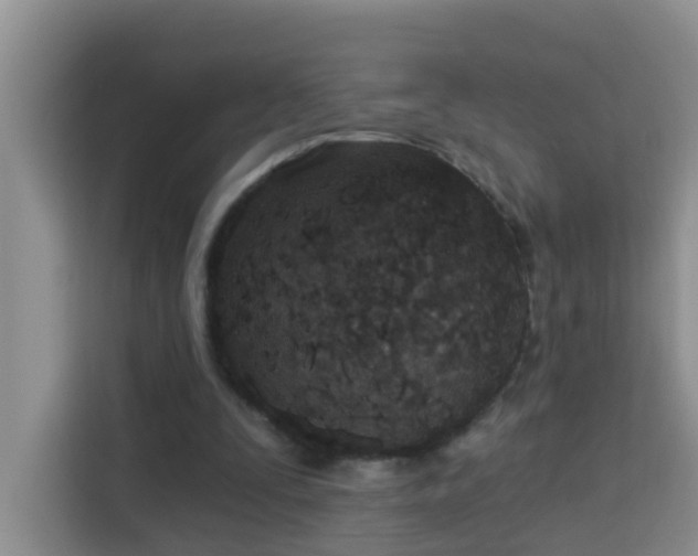 X0000114130295200910081250